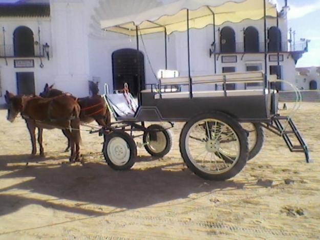 alquiler coche de caballos