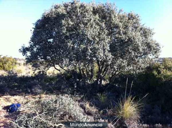 finca rustica en madrid