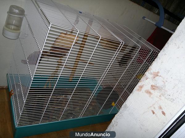 SE VENDE JAULA IDEAL PARA ROEDORES Y AVES