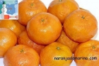naranjaslamarina - mejor precio | unprecio.es
