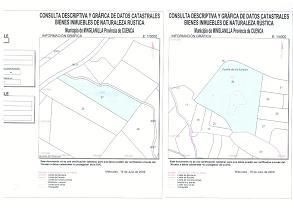 Venta Parcelas en MInglanilla (Cuenca)