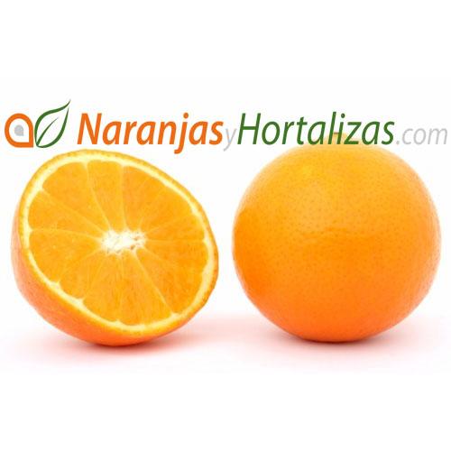 Venta de naranjas frescas Navel-Lane-Late