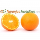 Venta de naranjas frescas Navel-Lane-Late - mejor precio | unprecio.es