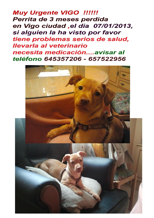 Urgente Perdida en VIGO está enferma!!