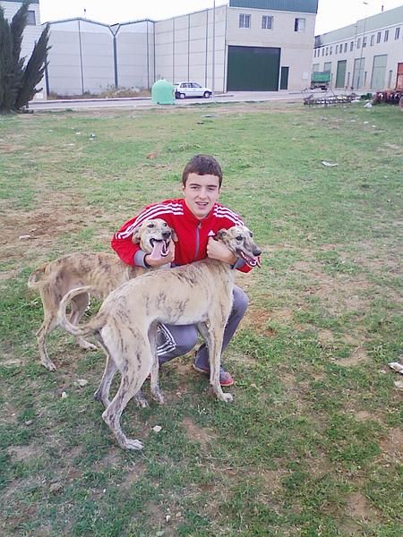 galgas robadas en Baeza