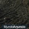 mantillo y tierra vegetal