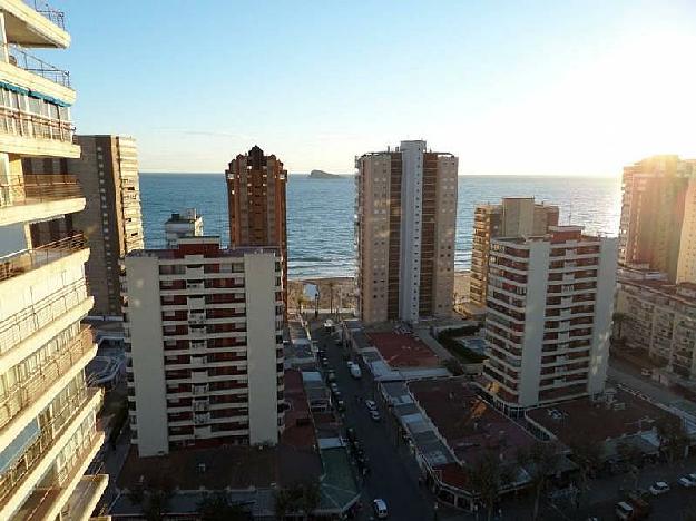 Apartamento en Benidorm