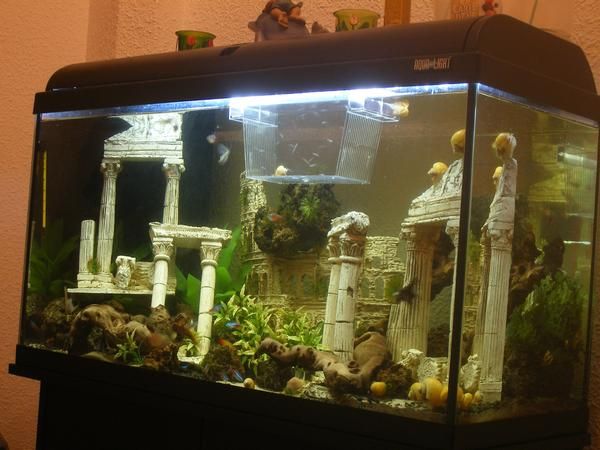 Vendo Acuario 100 litros + mueble 2 puertas.