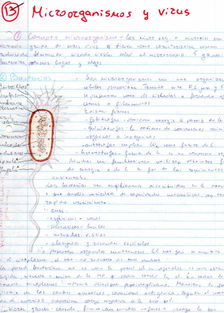 Exámenes de selectividad resueltos Biología