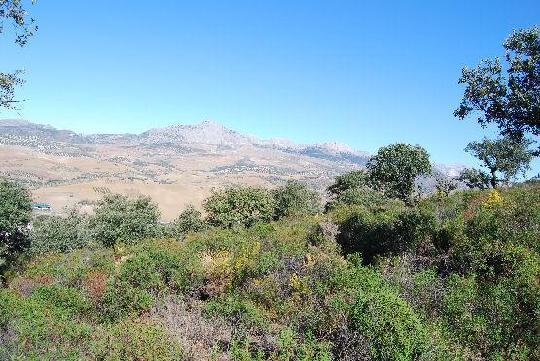 Finca rústica en Málaga