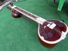 Sitar profesional india con doble calabaza - mejor precio | unprecio.es