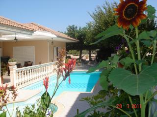 Apartamento en villa : 5/6 personas - piscina - nelas  beira alta  beiras  portugal