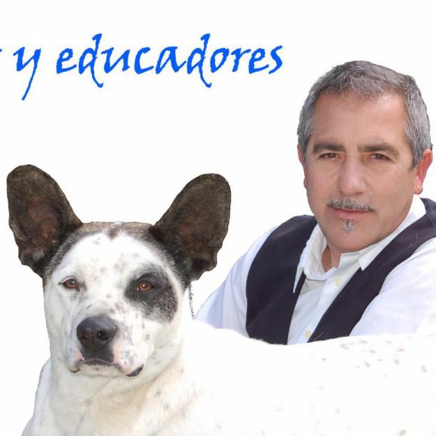 Educacion canina y modificacion de conducta