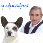 Educacion canina y modificacion de conducta - mejor precio | unprecio.es