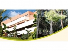 Piso en Torremolinos - mejor precio | unprecio.es