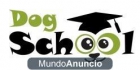 DogSchool, adiestramiento y educación canina - mejor precio | unprecio.es