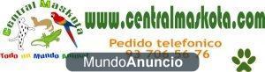 Nuevos Productos Y Descuento 10€ Tienda Mascotas