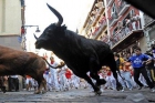 Piso sanfermin disponible 8/9/10 para 10/12 pax - mejor precio | unprecio.es