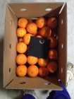 Deliciosas naranjas directas de la huerta valenciana - mejor precio | unprecio.es