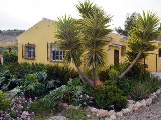 Chalet en alquiler en Frigiliana, Málaga (Costa del Sol)