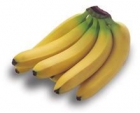 venta de banano tipo cavendich - mejor precio | unprecio.es