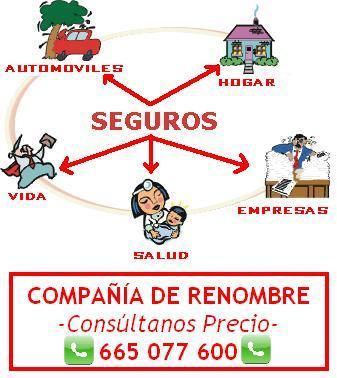 Asesor de seguros para coche, moto, embarcaciones, hogar, etc.