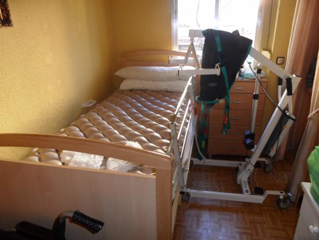 Cama Articulada + Grúa mini