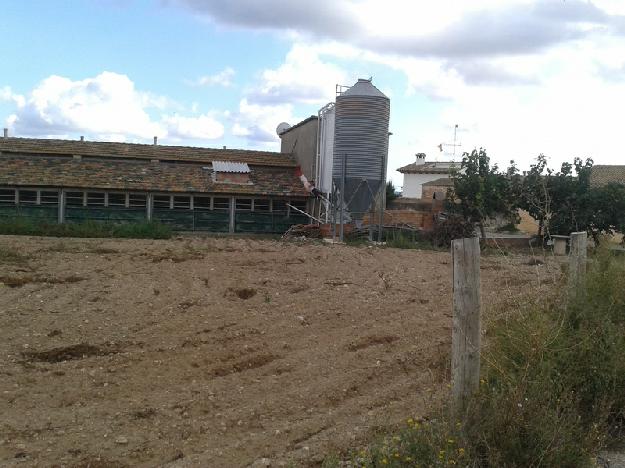 Finca rústica en Sant Jaume dels Domenys