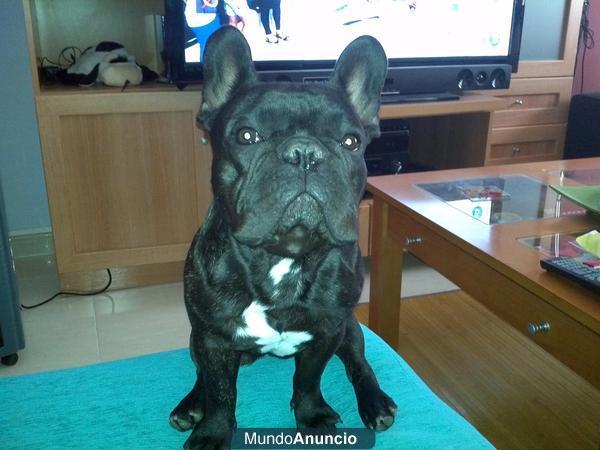 BUSCO NOVIA