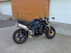 Speed Triple 1050 - mejor precio | unprecio.es