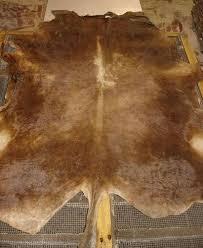 Wet Salted Hides Cabra