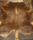 Wet Salted Hides Cabra - mejor precio | unprecio.es