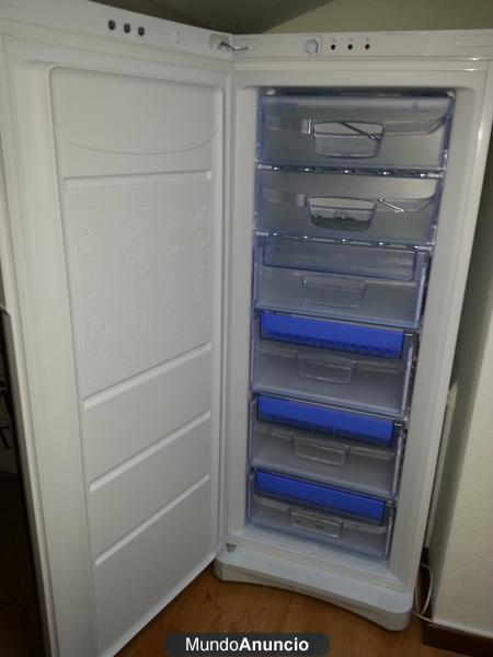 Congelador Vertical Indesit UFAN 300 A+