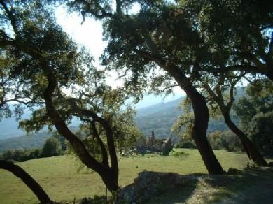 Terreno se vende en Colmenar, Axarquia