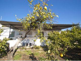 Finca/Casa Rural en venta en Torrox, Málaga (Costa del Sol)