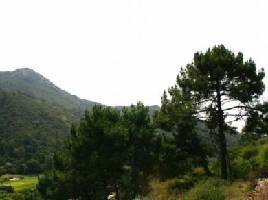 Terreno se vende en Benahavis, Costa del Sol