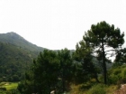 Terreno se vende en Benahavis, Costa del Sol - mejor precio | unprecio.es