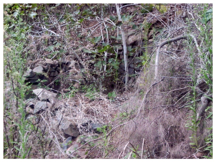 Terreno rustico en las rosas en el tanquito