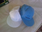 2 Gorras Planas Flama y Dickies - mejor precio | unprecio.es