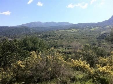 Terreno se vende en Gaucin, Serrania de Ronda