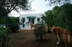 Chalet en Ciutadella de Menorca - mejor precio | unprecio.es