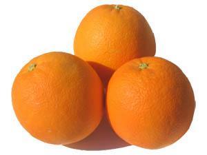 venta de naranjas