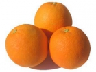 venta de naranjas - mejor precio | unprecio.es