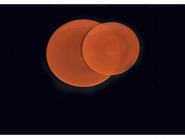 Artículos de menaje profesional de hostelería: Platos llanos 275mm naranjas Ecoglass