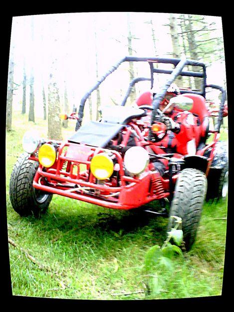 buggy 250