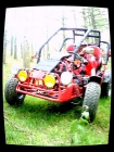 buggy 250 - mejor precio | unprecio.es