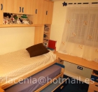 Kit Dormitorio Juvenil Habitacion Conjunto COMO NUEVO - mejor precio | unprecio.es