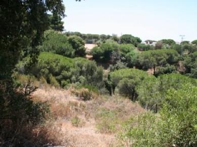 Terreno se vende en Marbella, Costa del Sol