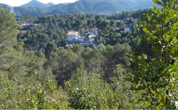 Venta terreno en cervello
