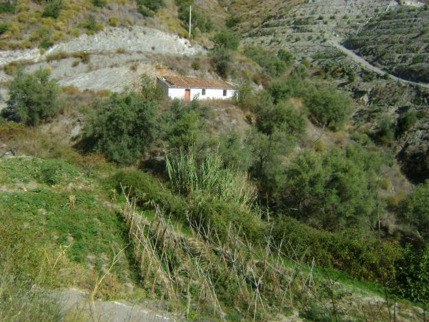 cartarrijan